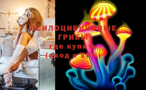 спайс Алзамай