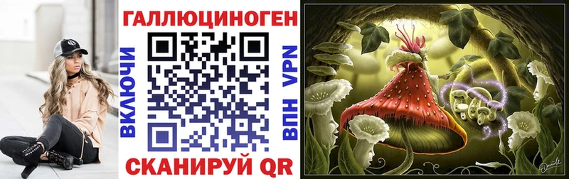 где найти наркотики Боровичи Галлюциногенные грибы ЛСД